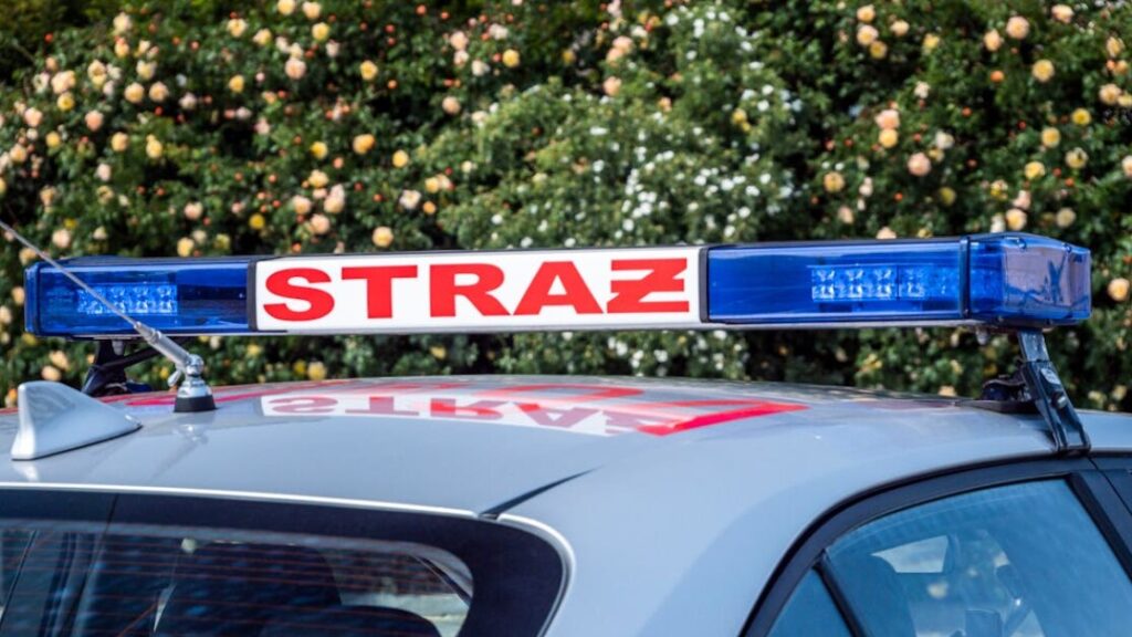 Pobierz darmowy wniosek o wydanie orzeczenia o stopniu niepełnosprawności Gorzów Wlkp. w PDF